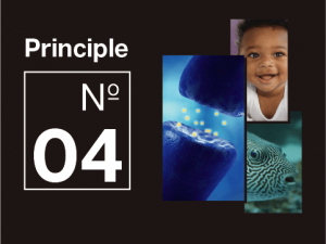 Principle of better thinking 04: Learn to learn like a baby.